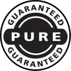 Brain Health and Focus Icon